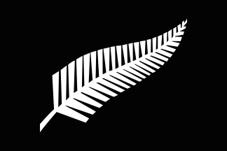 New Zealand All Black Silver Fern flag 324px
