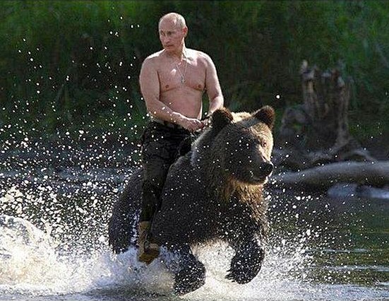 Vladimir Putin riding a bear