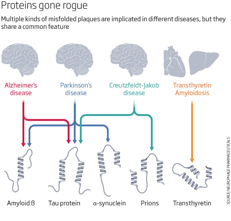Proteins gone rogue